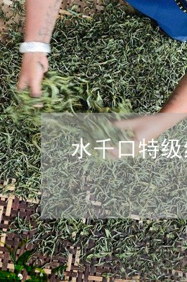 水千口特级红茶价格/2023032103714