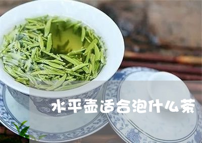 水平壶适合泡什么茶/2023031980538