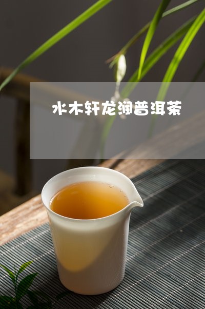 水木轩龙润普洱茶/2023033117371