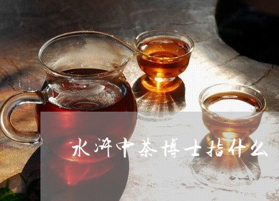 水浒中茶博士指什么/2023032175727