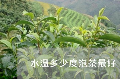 水温多少度泡茶最好/2023032016482