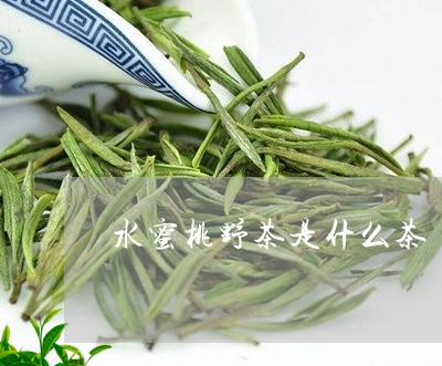 水蜜桃野茶是什么茶/2023041517269