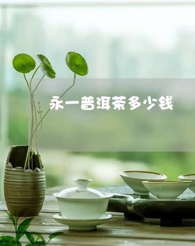 永一普洱茶多少钱/2023031730383