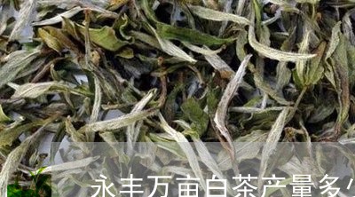 永丰万亩白茶产量多少公斤/2023040944925