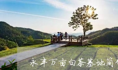 永丰万亩白茶基地简介图片/2023040974312