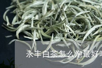 永丰白茶怎么泡最好喝窍门/2023040962838