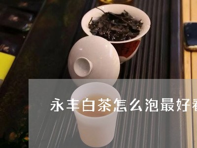 永丰白茶怎么泡最好看视频/2023041221512