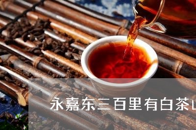 永嘉东三百里有白茶山有误/2023041214049