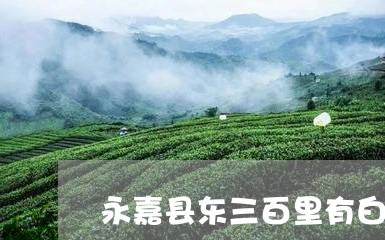 永嘉县东三百里有白茶山吗/2023040964057