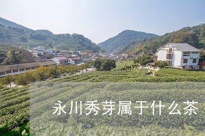 永川秀芽属于什么茶/2023031947149