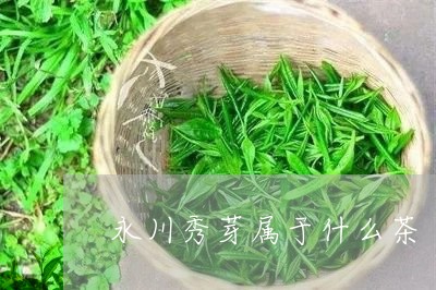 永川秀芽属于什么茶/2023041595047