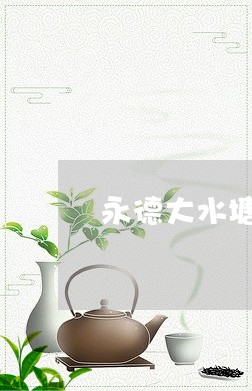 永德大水塘古树茶/2023032681705