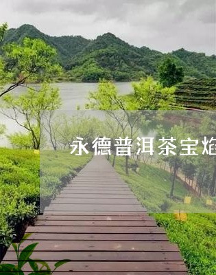 永德普洱茶宝焰牌/2023040159482