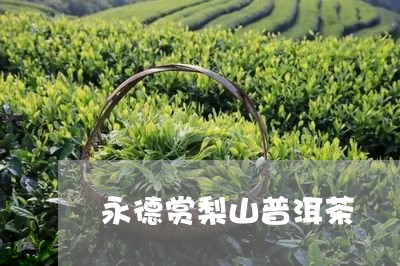 永德赏梨山普洱茶/2023041032727