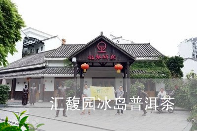 汇馥园冰岛普洱茶/2023041388316