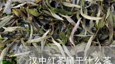 汉中红茶属于什么茶/2023041633027