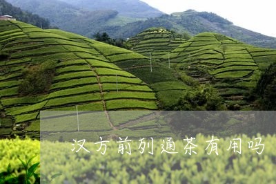 汉方前列通茶有用吗/2023041558615