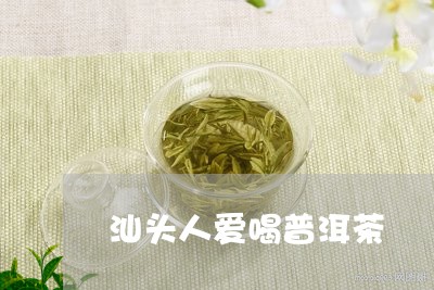 汕头人爱喝普洱茶/2023040910604