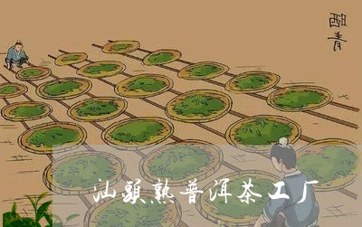 汕头熟普洱茶工厂/2023041139605