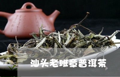 汕头老班章普洱茶/2023031716358