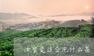 汝窑瓷适合泡什么茶/2023031960674