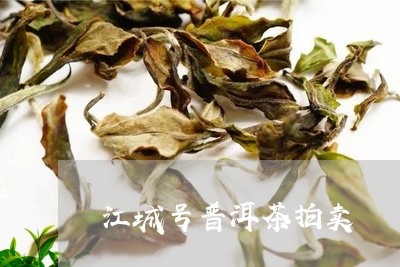 江城号普洱茶拍卖/2023031650605