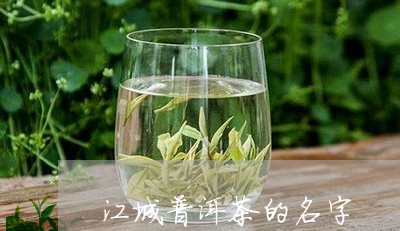 江城普洱茶的名字/2023031684837