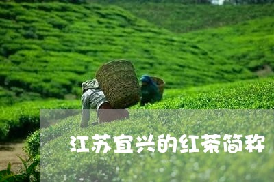 江苏宜兴的红茶简称/2023041530473