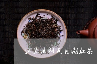 江苏溧阳天目湖红茶/2023041535060