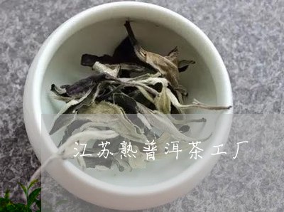 江苏熟普洱茶工厂/2023041034160