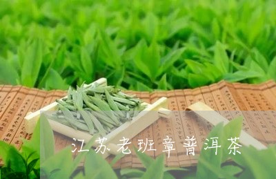 江苏老班章普洱茶/2023041321146