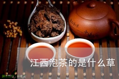 江西泡茶的是什么草/2023041795826