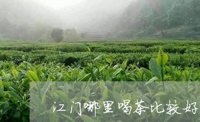 江门哪里喝茶比较好/2023041610472