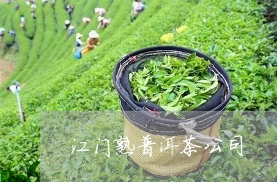 江门熟普洱茶公司/2023041247350