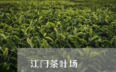 江门茶叶场/2023032684727