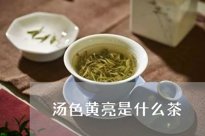 汤色黄亮是什么茶/2023032465048