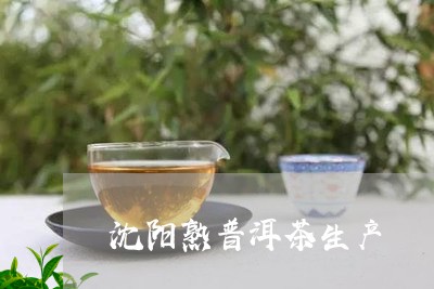 沈阳熟普洱茶生产/2023041230693