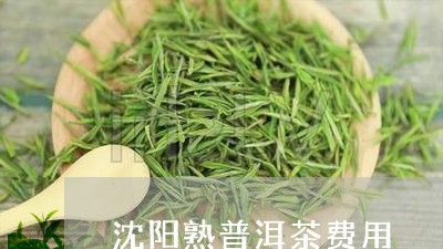 沈阳熟普洱茶费用/2023041059572