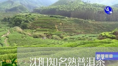 沈阳知名熟普洱茶/2023031628281