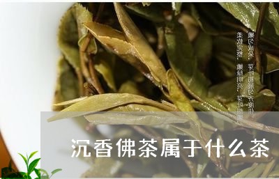 沉香佛茶属于什么茶/2023031946160