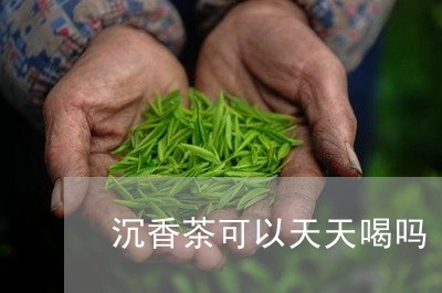 沉香茶可以天天喝吗/2023041493817