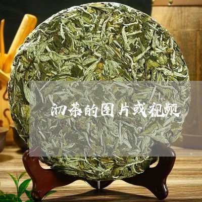 沏茶的图片或视频/2023032583705