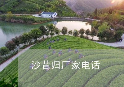 沙昔归厂家电话/2023032305251