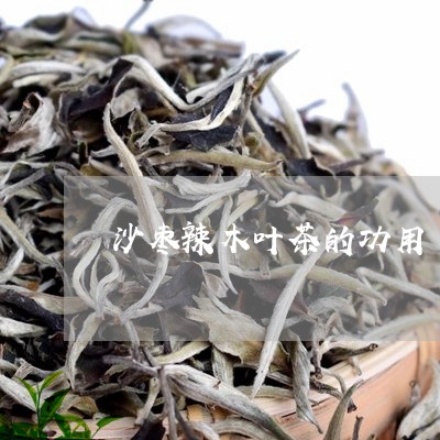 沙枣辣木叶茶的功用/2023032159603