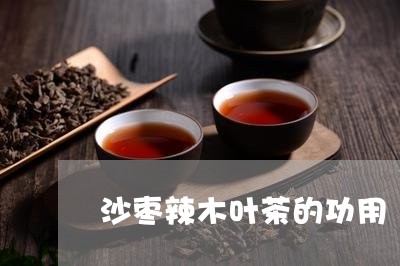 沙枣辣木叶茶的功用/2023041776268