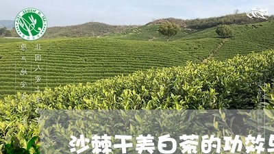 沙棘干美白茶的功效与禁忌/2023041292937