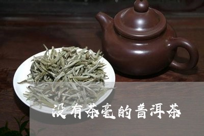 没有茶毫的普洱茶/2023031570726