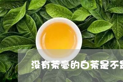 没有茶毫的白茶是不是假的/2023040998393