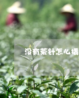 没有茶针怎么撬茶饼/2023041649482