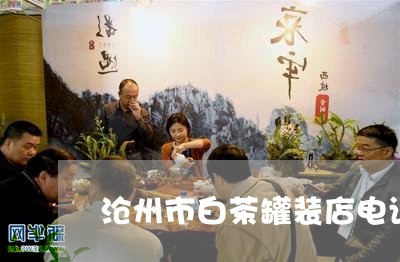 沧州市白茶罐装店电话地址/2023040958050